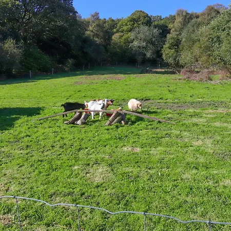 Ferienhaus Cozy In With Wifi *