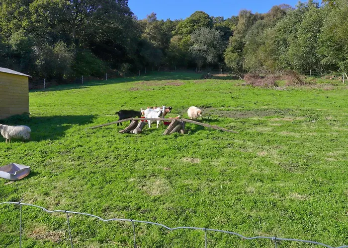 Ferienhaus Cozy In With Wifi *